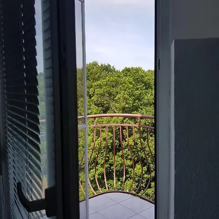 Rose פרימורסקו