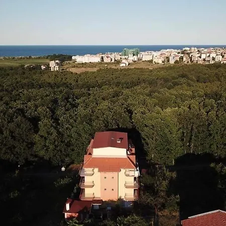 Rose בית הארחה פרימורסקו