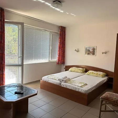 Rose 招待所 普里莫尔斯科