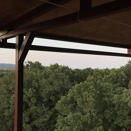 Rose בית הארחה