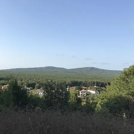 Rose 3* פרימורסקו