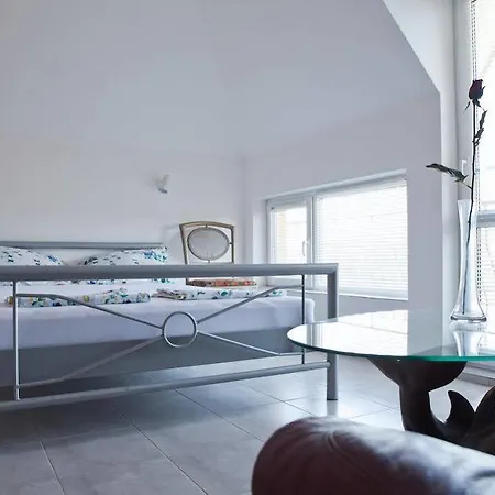 Rose בית הארחה פרימורסקו