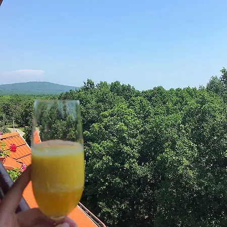 Rose בית הארחה פרימורסקו