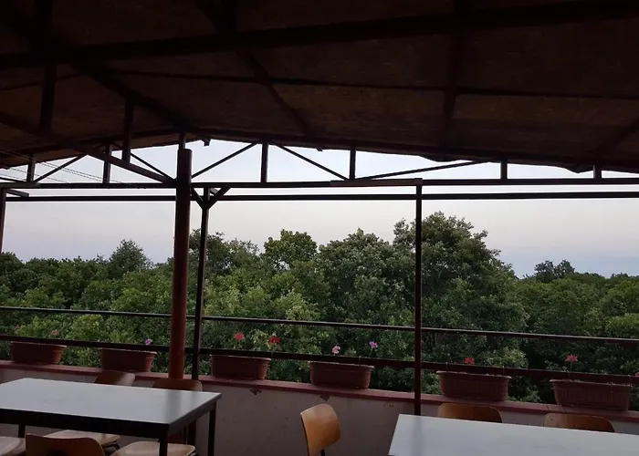 Rose Affittacamere Primorsko