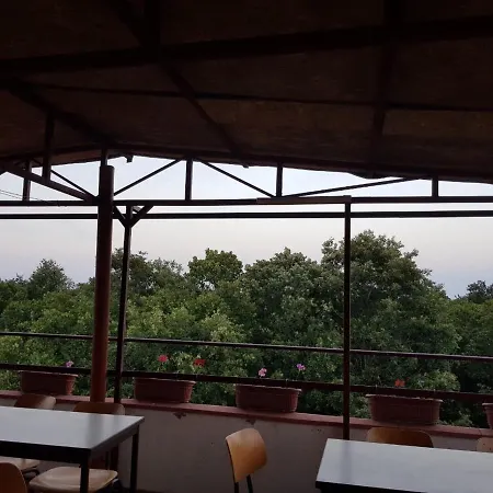 Rose Maison d'hôtes Primorsko