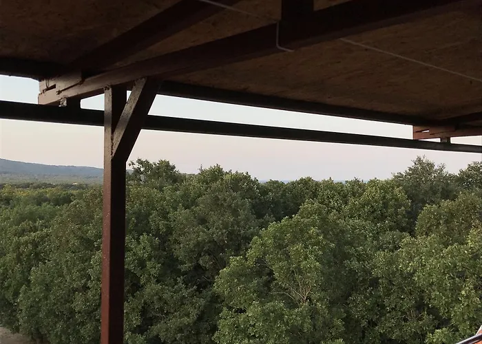 Rose Maison d'hôtes