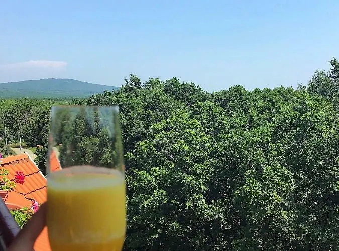 Rose Maison d'hôtes Primorsko